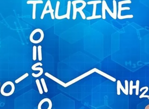 Taurine có tác dụng gì? Bổ sung Taurine như thế nào để đạt hiệu quả mong muốn?
